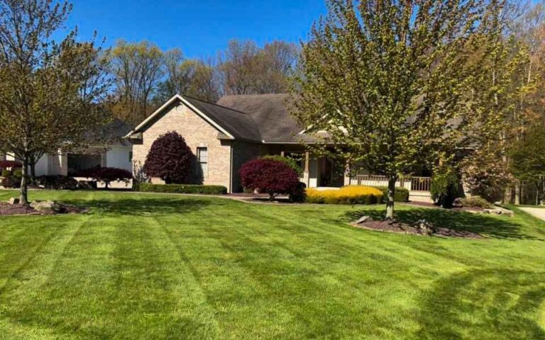 Lawn Care Tips for Niles Homes with Mature Trees: