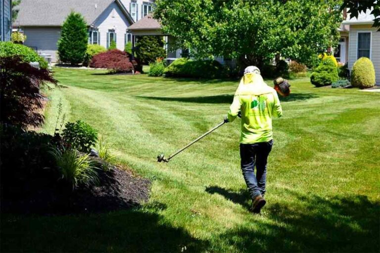 Seasonal Lawn Care Tips for Niles Residents: