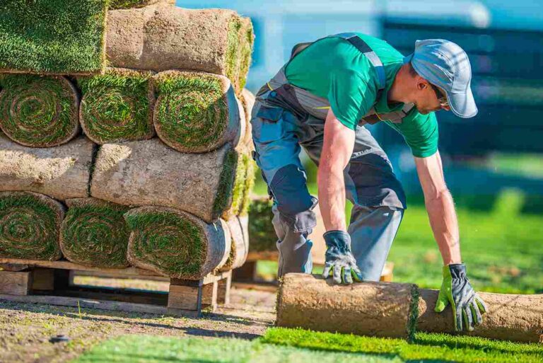 The Ultimate Guide to Choosing the Right Landscaping Service in Niles: