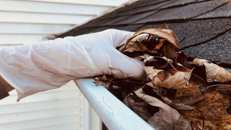 How Often Should You Schedule Gutter Cleaning in Niles, OH