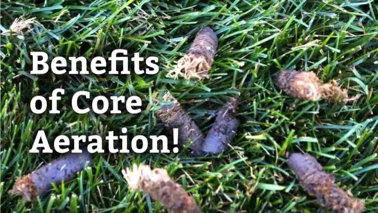 The Benefits of Core Aeration for Niles, OH Yards
