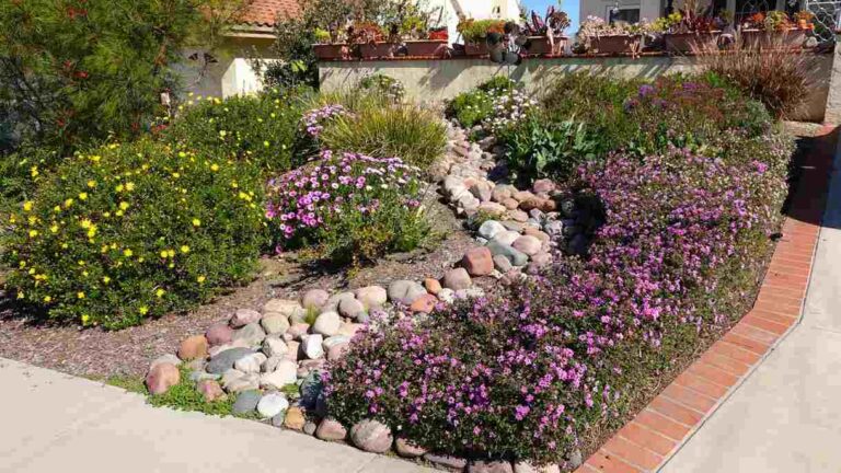 Designing a Low-Maintenance Landscape for Niles, OH Homes