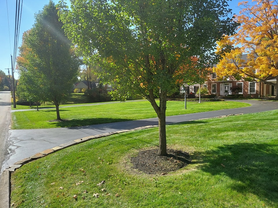 Expert Lawn Care Services in Niles, OH