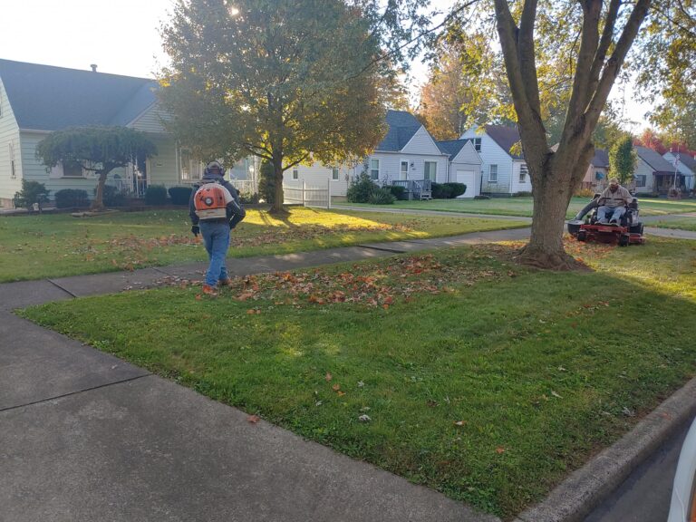 How to Choose a Reliable Lawn Care Company in Warren, OH