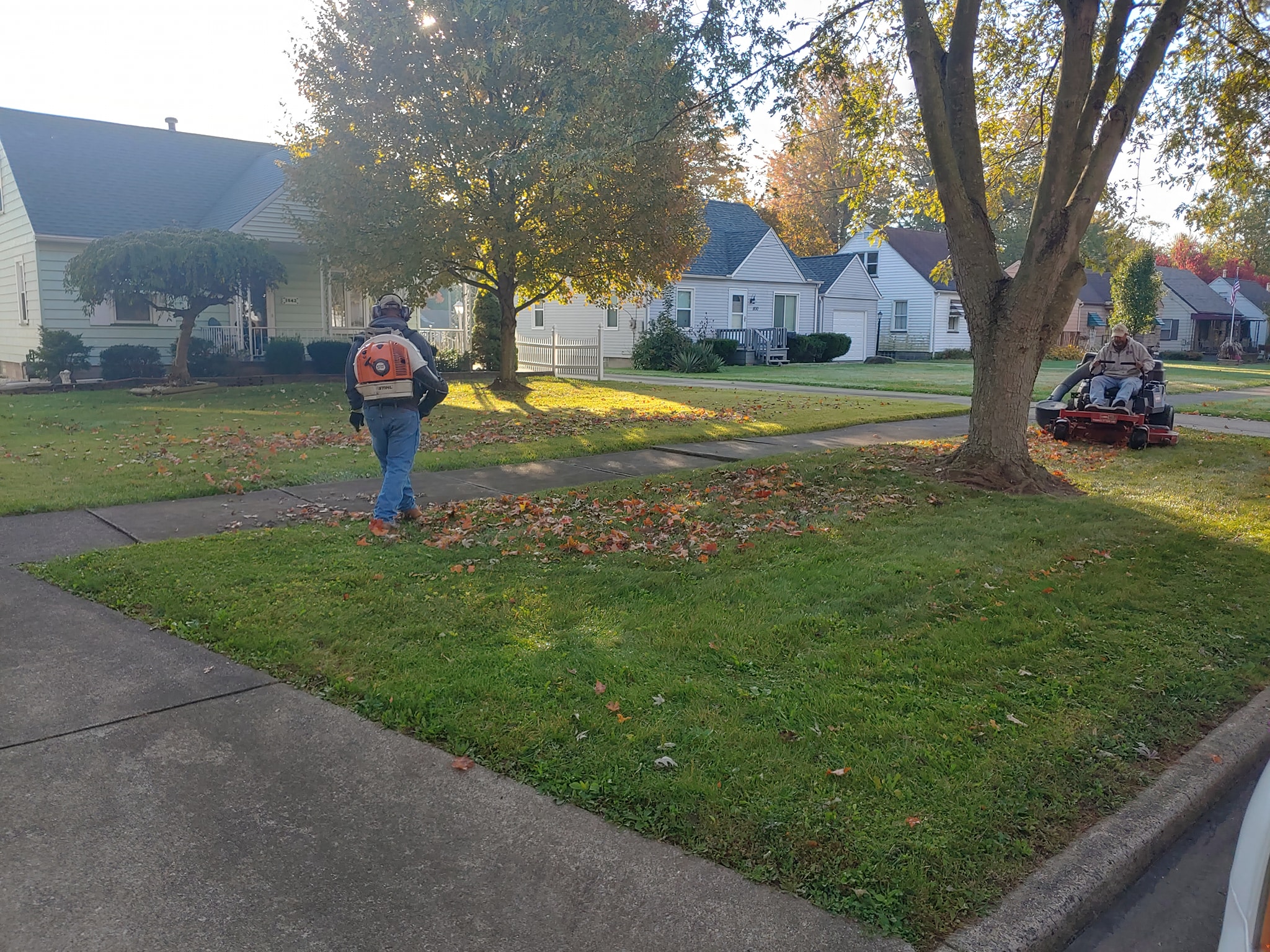 How to Choose a Reliable Lawn Care Company in Warren, OH